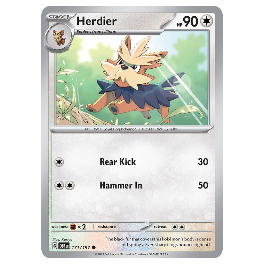 Herdier - 171/197